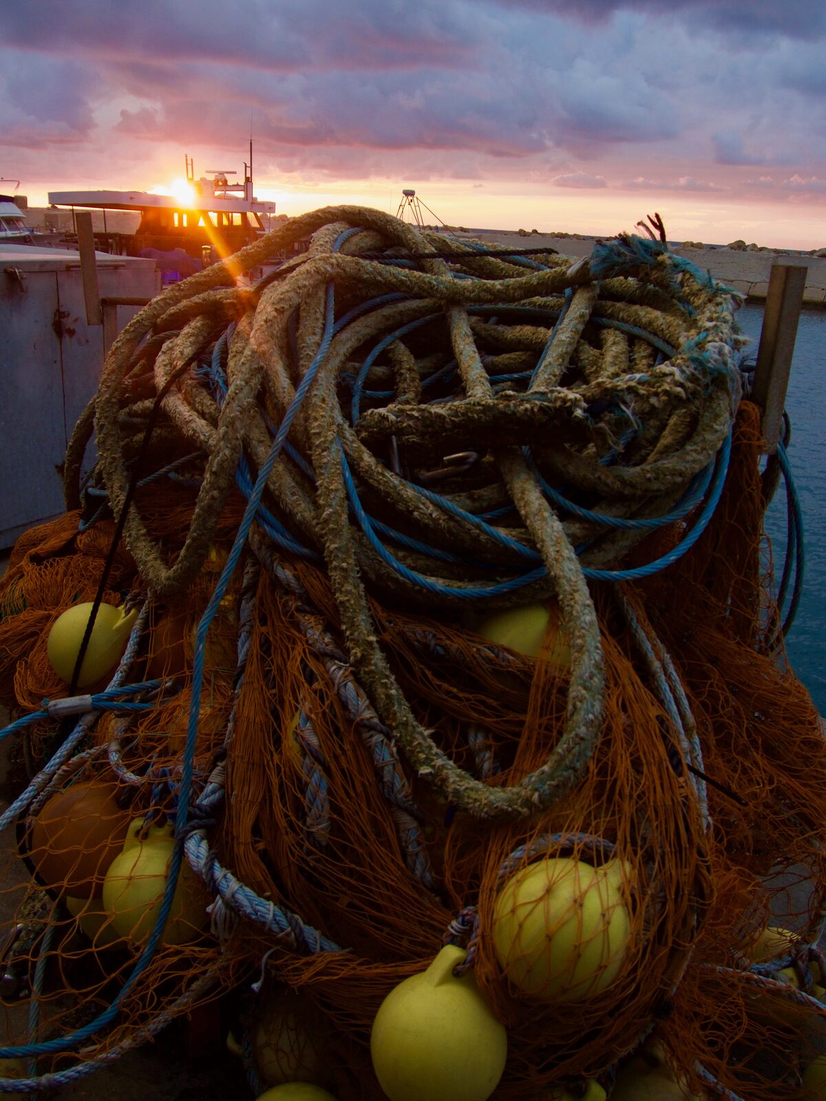 Fiskebåd i havnen i Tel Aviv